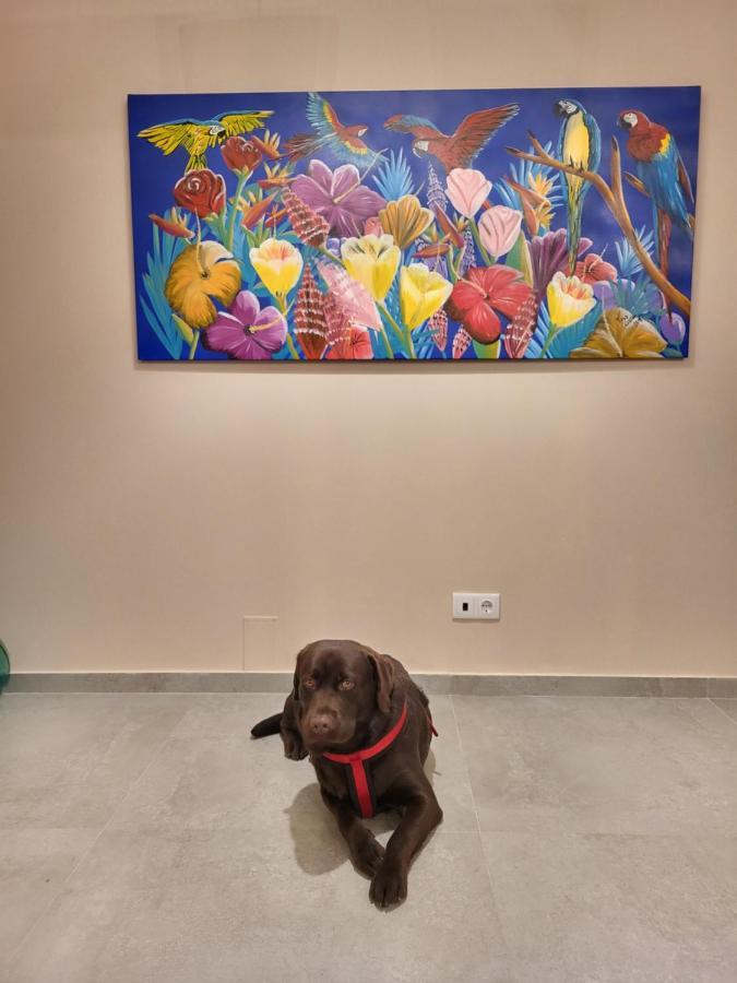 Casa Do Alambique Villa Alvaredo Екстериор снимка